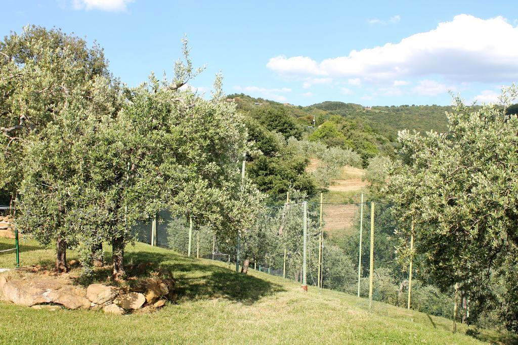 Agriturismo Malagronda Ravigliano Exterior photo